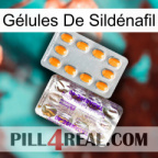 Gélules De Sildénafil new12
